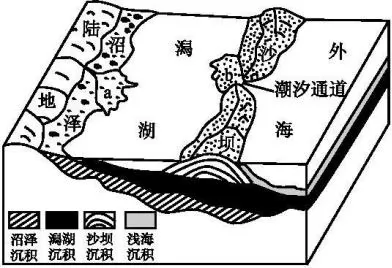 沿海沙坝的形成原理图片