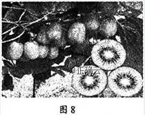 西藏拉萨中学2019届高三第六次月考文综地理【解析】 西藏拉萨中学2019届高三第六次月考文综地理【解析】