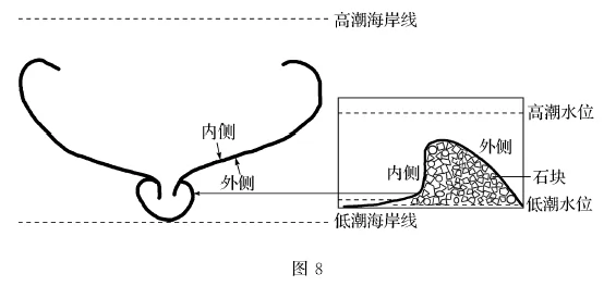河北省衡水中学2019届高三下学期大联考卷文综地理【解析】 河北省衡水中学2019届高三下学期大联考卷文综地理【解析】