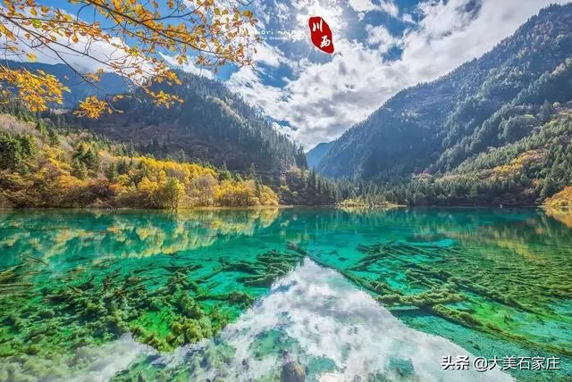 Ų¼---йĻŲ