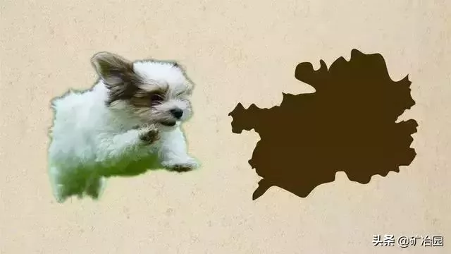 ʡͼʲô