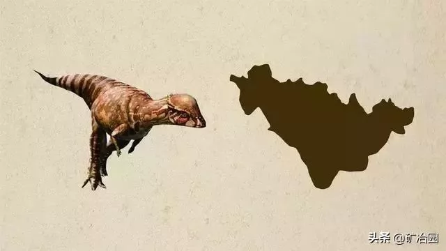 ʡͼʲô