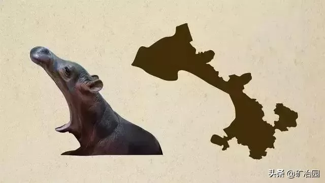 ʡͼʲô