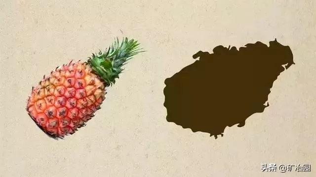 ʡͼʲô