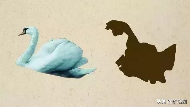 ʡͼʲô