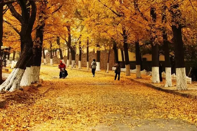 й10ֵ