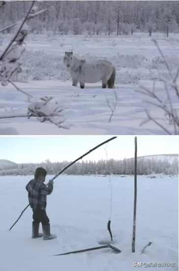 ȵĵطȫʮ󼫵