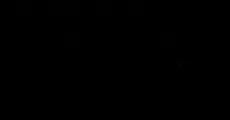 ʡУ߶2018-2019ѧѧ⡾