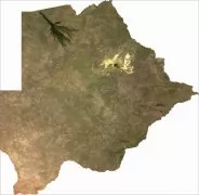 ǵͼ