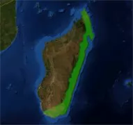 ˹ͼ 