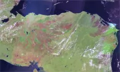  鶼˹ǵͼ 