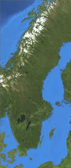  ͼ 