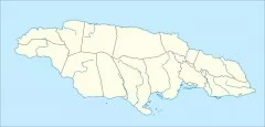 牙买加线描图