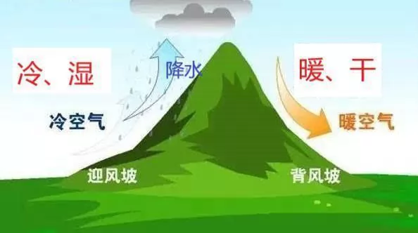 еÿս1⣨硢ӭ¡¡ɽȷ磩