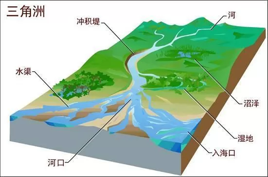 洪脉常见于图片