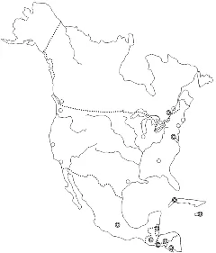 北美洲轮廓图空白图片