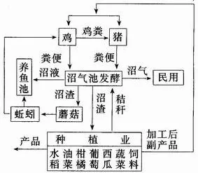 种、养、沼三结合物质循环利用