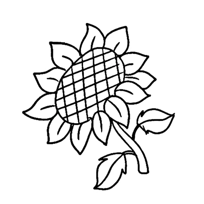 տʻȫ