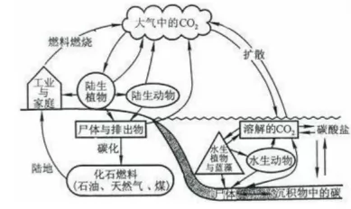 高考地理试题 大气 高考地理试题 大气